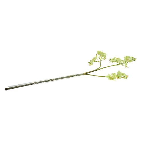 Floristik24 Orkidé 97cm ljusgrön