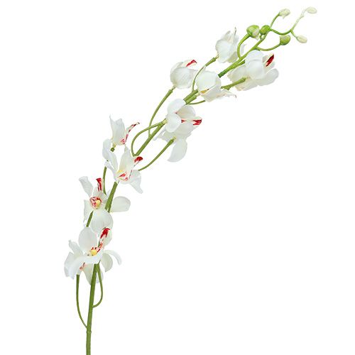 Floristik24 Orchid Mokara White 92cm 3st