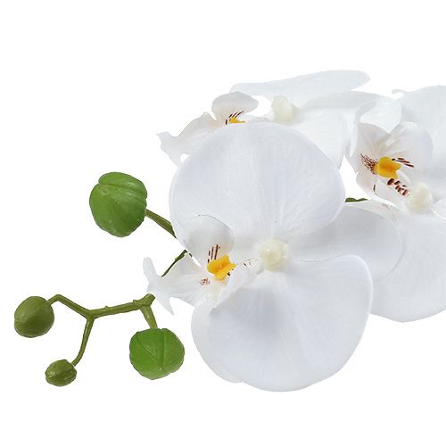 Artikel Phalaenopsis orkidé i vit skål H40cm