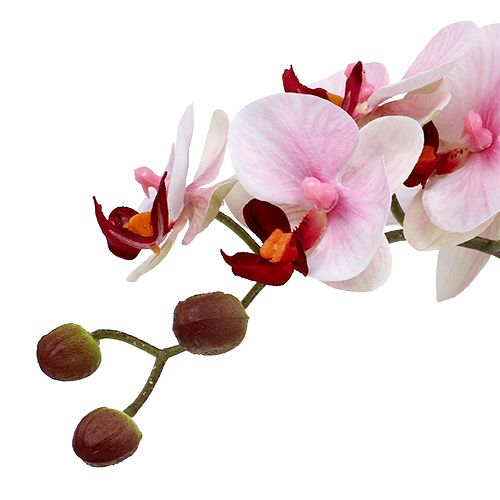 Artikel Rosa orkidé i keramikkruka 31cm