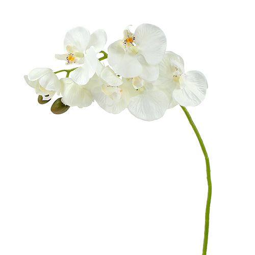 Orkidé vit konstgjord L73cm 4st