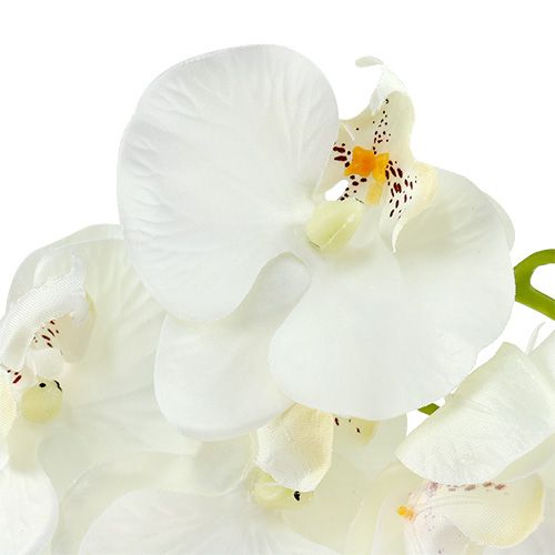 Floristik24 Orkidé vit konstgjord L73cm 4st