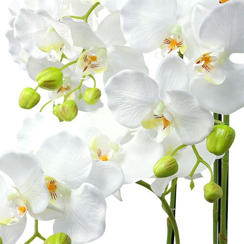 Artikel Orkidé vit med klot 110cm