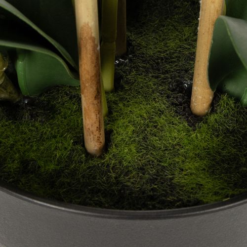 Artikel Konstgjord orkidé i kruka för en harmonisk atmosfär, vit, 60 cm