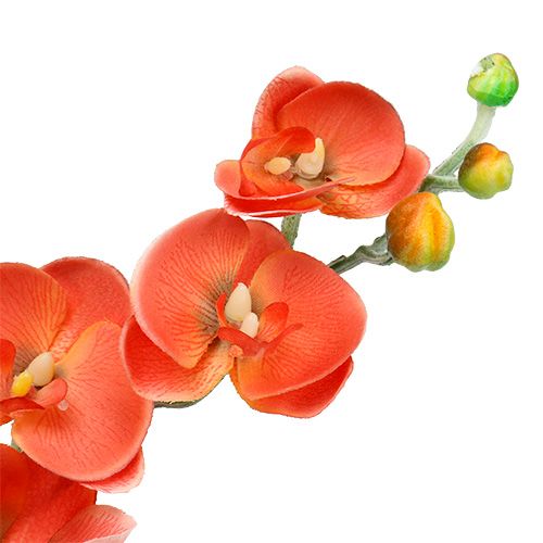 Artikel Orchid två grenar 60 cm orange