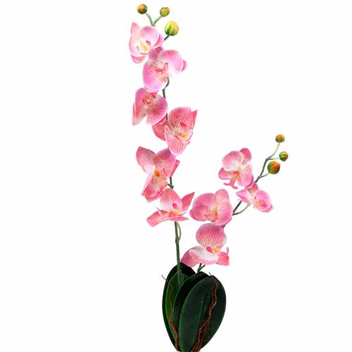 Floristik24 Orchid Phalaenopsis artificiell rosa 60cm