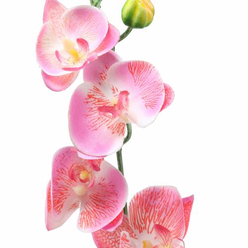 Artikel Orchid Phalaenopsis artificiell rosa 60cm