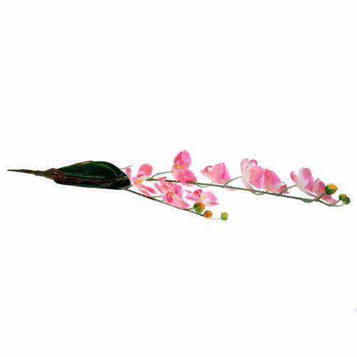 Floristik24 Orchid Phalaenopsis artificiell rosa 60cm