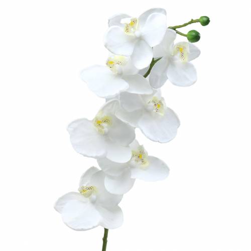 Artikel Konstgjord orkidé konstgjord blomma vit Ø6,5-8cm 77cm