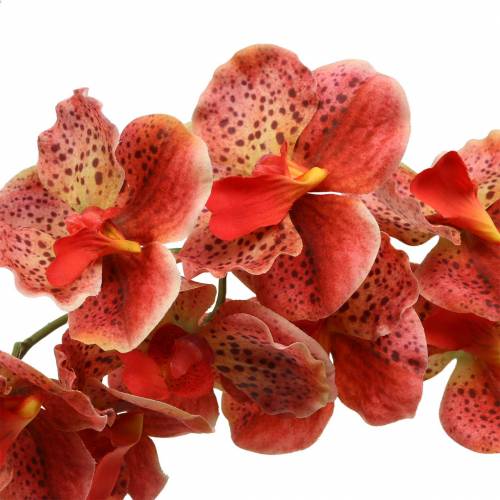 Artikel Konstgjord orkidé Phaelaenopsis Röd, Orange H81cm