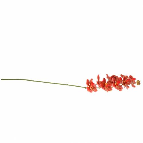 Floristik24 Konstgjord orkidé Phaelaenopsis Röd, Orange H81cm