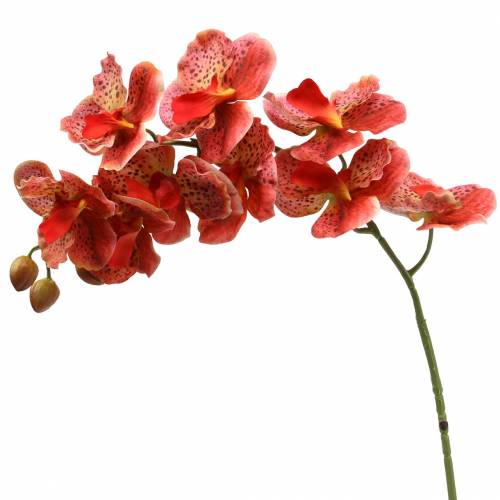 Floristik24 Konstgjord orkidé Phaelaenopsis Röd, Orange H81cm