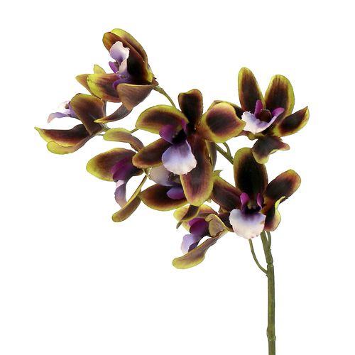Floristik24 Orchid Cymbidium Green, Purple L38cm 4st