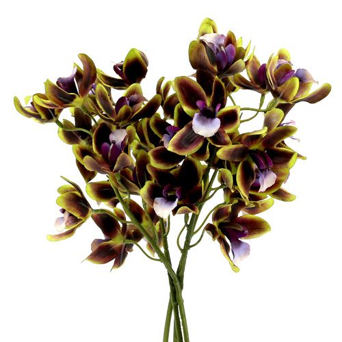 Floristik24 Orchid Cymbidium Green, Purple L38cm 4st