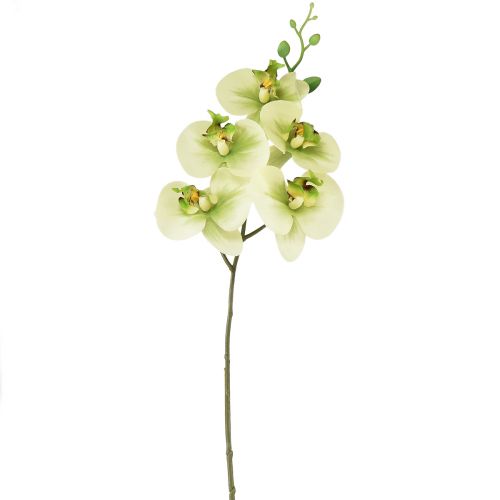 Floristik24 Orkidé Konstgjord Gulgrön Phalaenopsis 85cm