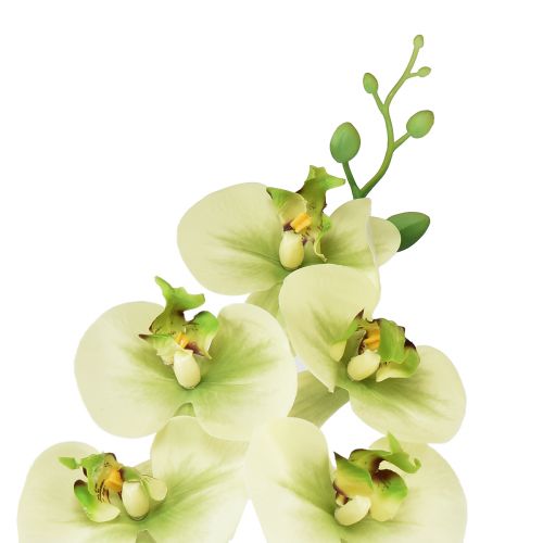 Artikel Orkidé Konstgjord Gulgrön Phalaenopsis 85cm