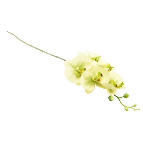 Artikel Orkidé Konstgjord Gulgrön Phalaenopsis 85cm