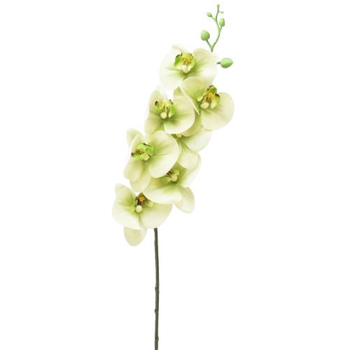 Artikel Orkidé Konstgjord Gulgrön Phalaenopsis L83cm