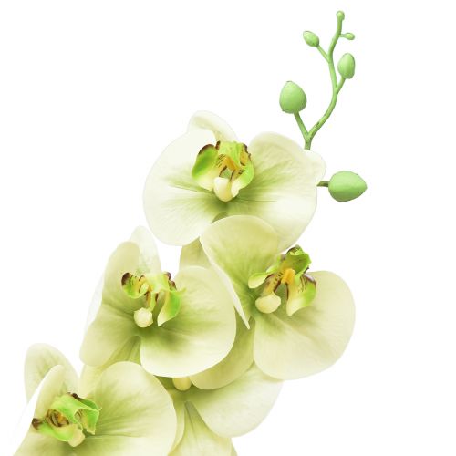 Artikel Orkidé Konstgjord Gulgrön Phalaenopsis L83cm