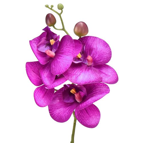 Orkidé Artificiell Phalaenopsis 4 blommor Fuchsia 72cm