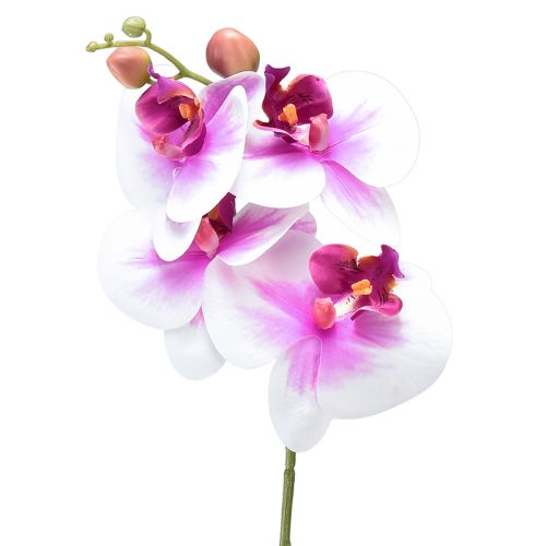 Orkidé Artificiell Phalaenopsis 4 Blommor Vit Rosa 72cm