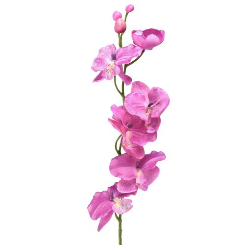 Orkidé Phalaenopsis konstgjord 6 blommor lila 70cm