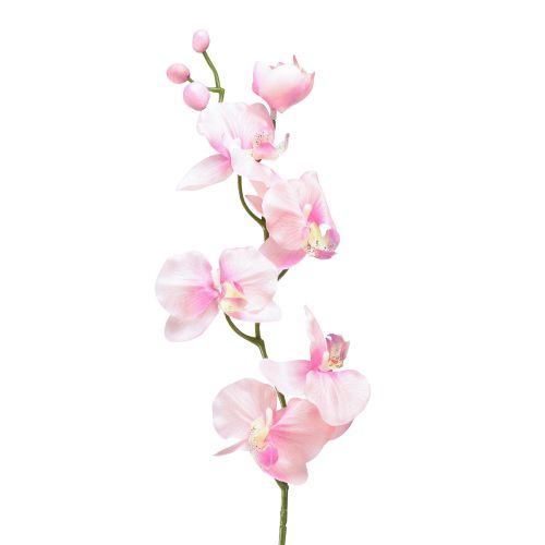 Floristik24 Orkidé Phalaenopsis konstgjord 6 blommor rosa 70cm