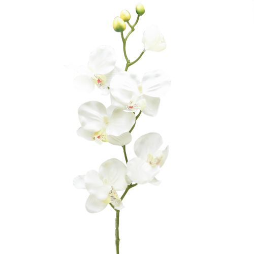 Orkidé Phalaenopsis konstgjord 6 blommor vit kräm 70cm