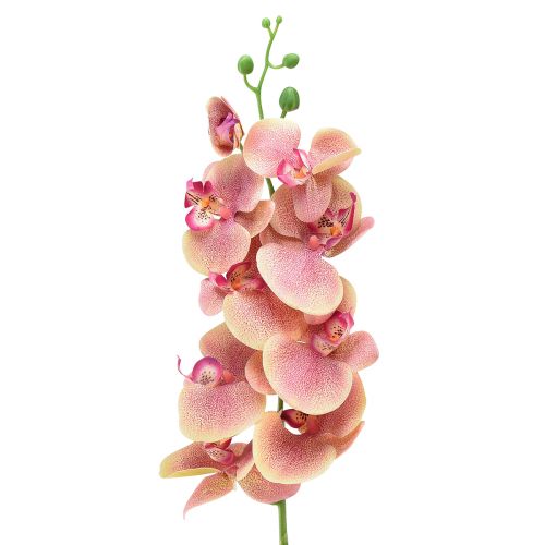 Orkidé Phalaenopsis konstgjord 9 blommor rosa vanilj 96cm
