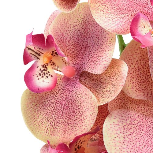 Artikel Orkidé Phalaenopsis konstgjord 9 blommor rosa vanilj 96cm