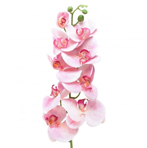 Floristik24 Orkidé Phalaenopsis konstgjord 9 blommor rosa vit 96cm