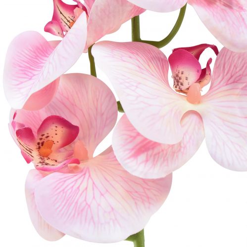 Artikel Orkidé Phalaenopsis konstgjord 9 blommor rosa vit 96cm