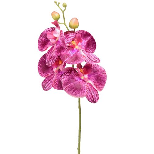 Orkidé flammad konstgjord Phalaenopsis lila 72cm
