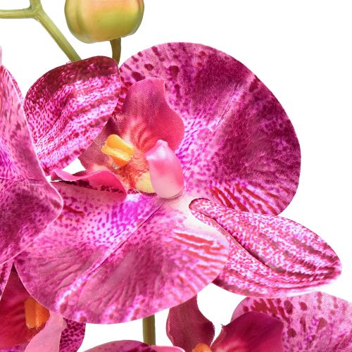 Artikel Orkidé flammad konstgjord Phalaenopsis lila 72cm
