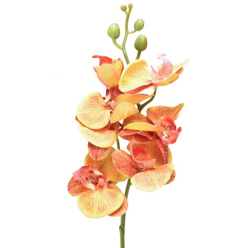 Artikel Konstgjord orkidé Phalaenopsis flammig röd gul 78cm