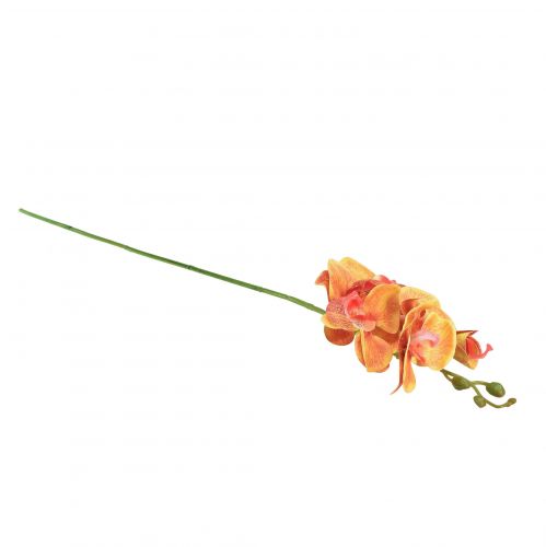 Artikel Konstgjord orkidé Phalaenopsis flammig röd gul 78cm