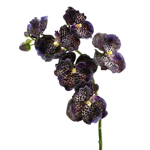 Floristik24 Orchid Vanda konstgjord violett L 44cm