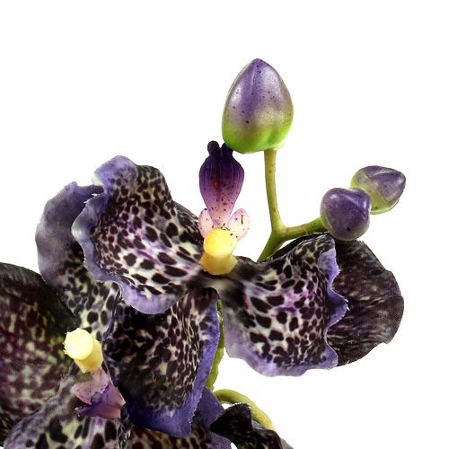 Floristik24 Orchid Vanda konstgjord violett L 44cm