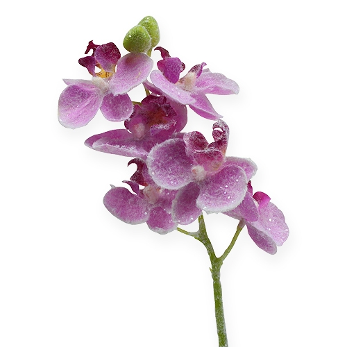 Orkidé med glitter, rosa 35 cm