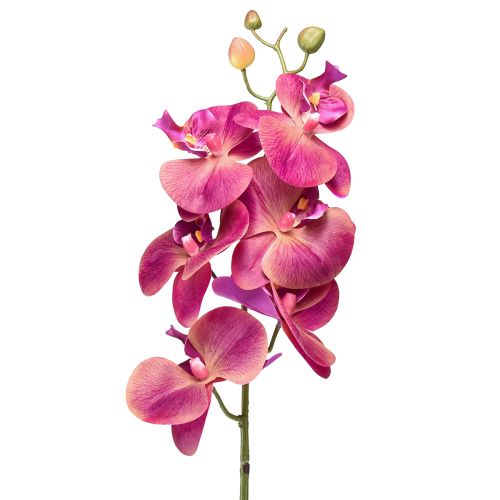 Floristik24 Konstgjord orkidé Phalaenopsis Orchid Fuchsia 78cm