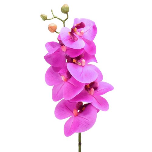 Konstgjord orkidé Phalaenopsis Orkidé Rosa 78cm