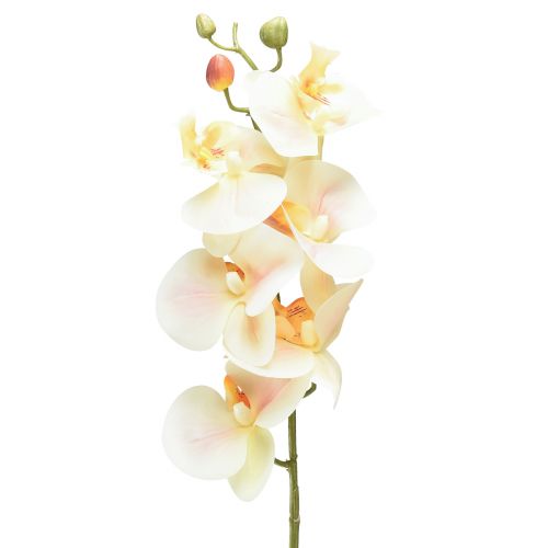 Artikel Artificiell orkidékräm Orange Phalaenopsis 78cm