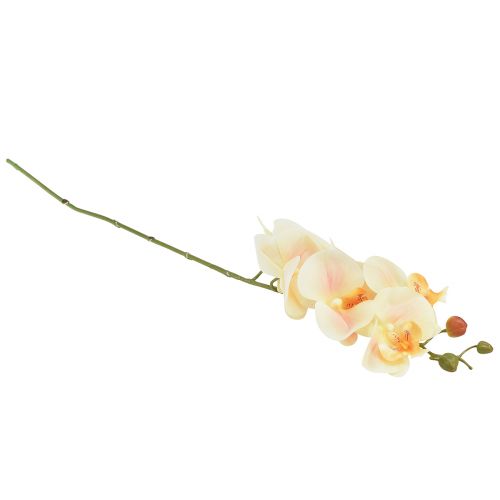 Artikel Artificiell orkidékräm Orange Phalaenopsis 78cm