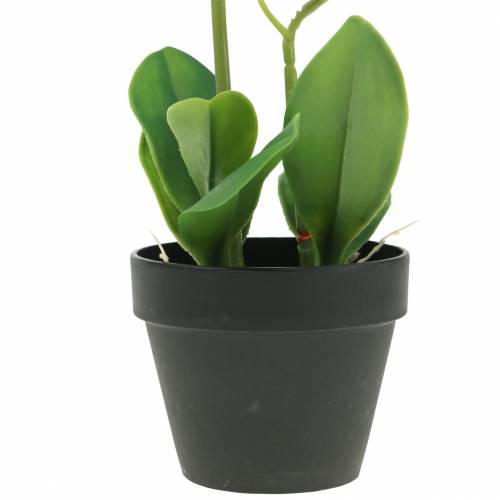 Floristik24 Orkidéer vita i en kruka konstgjord växt H35cm