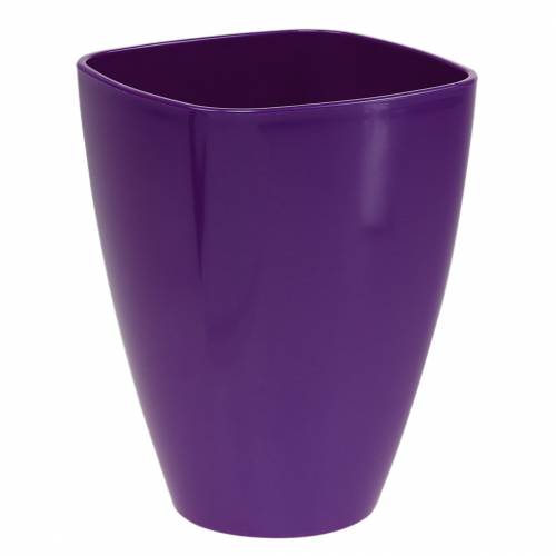 Orkidékruka, blank, Ø12,5 cm, violett köpa | Floristik24.se