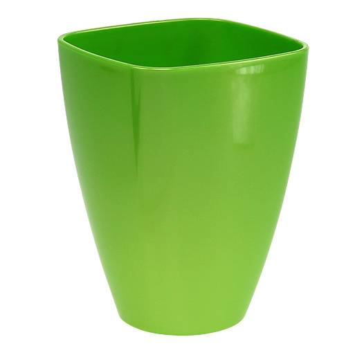 Floristik24 Orkidékruka blank Ø12,5cm lime 1 st