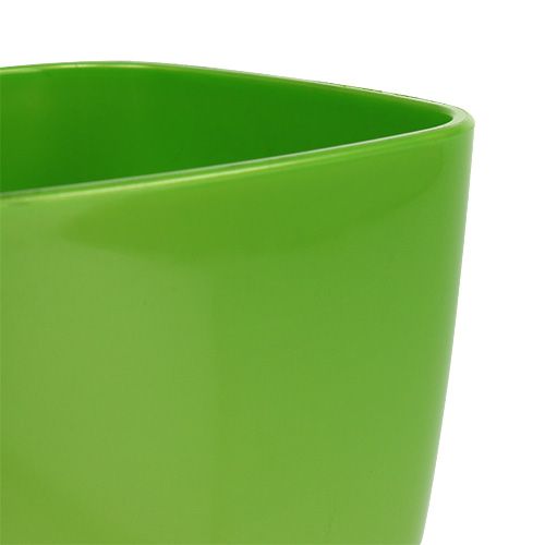Artikel Orkidékruka blank Ø12,5cm lime 1 st