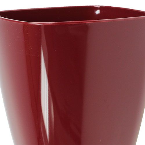 Artikel Orkidékruka blank Ø12,5cm Bordeaux 1 st