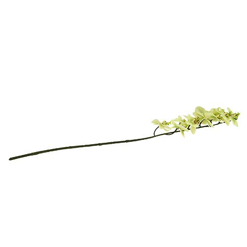 Artikel Orkidégren ljusgrön L58cm