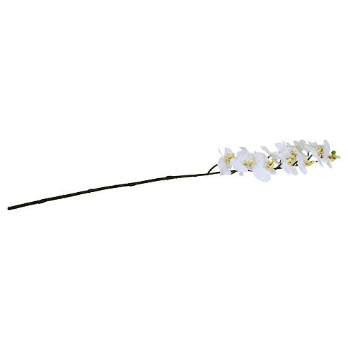 Artikel Orkidégren vit L58cm